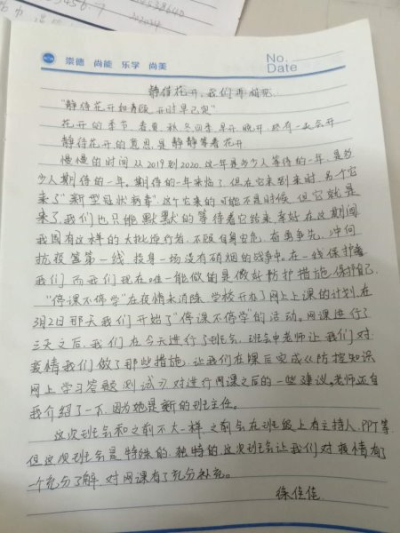 image20.jpeg image20.jpeg