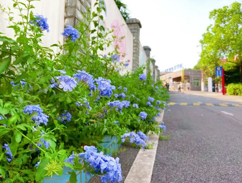 微信截圖_20220519091652.png 微信截圖_20220519091652.png